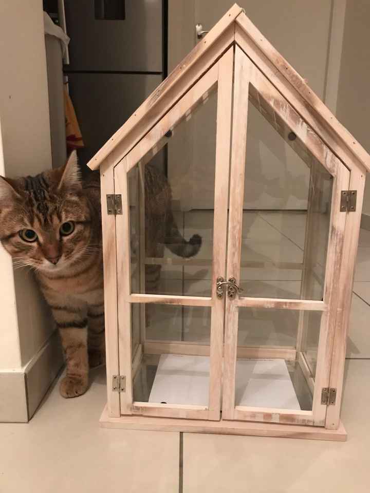 1er achat décoration - 1