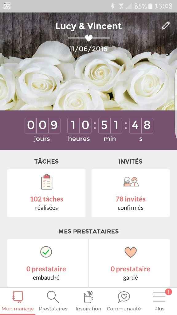 Oú en sont vos compteurs Mariages.net ? - 1