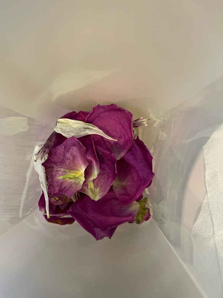 Faire ses propres pétales séchés 🌸 - 1