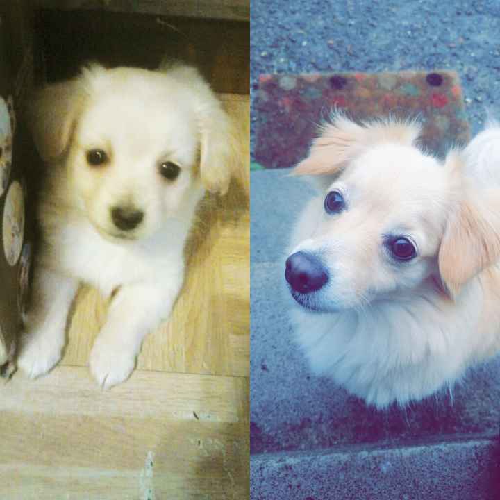 📷 Votre photo préférée de votre animal 📷 - 1