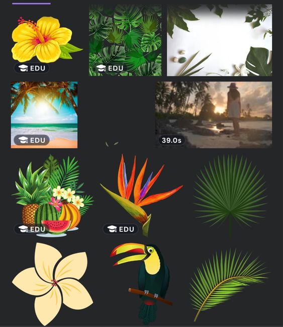 Logiciel pour plan de table 4