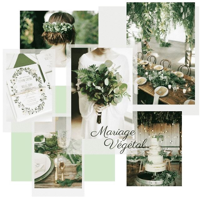 Thème Nature Verte 🌿🌻 20