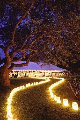 Décoration Mariage en extérieur 4