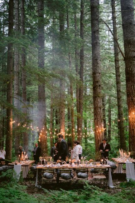Un repas de mariage en forêt 1