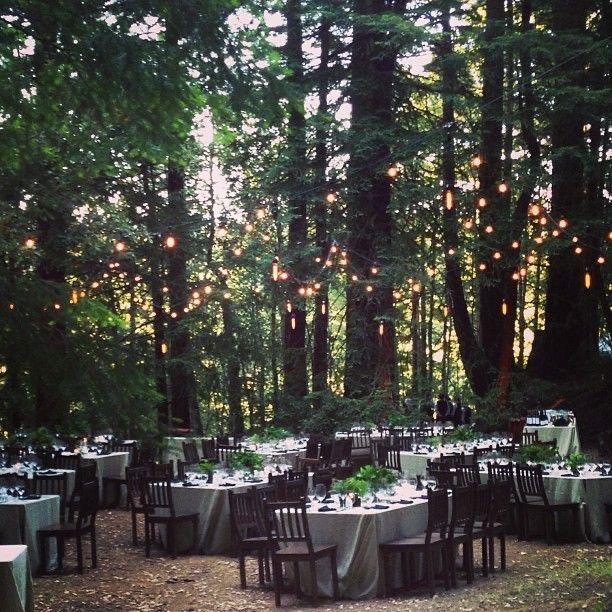 Un repas de mariage en forêt 3