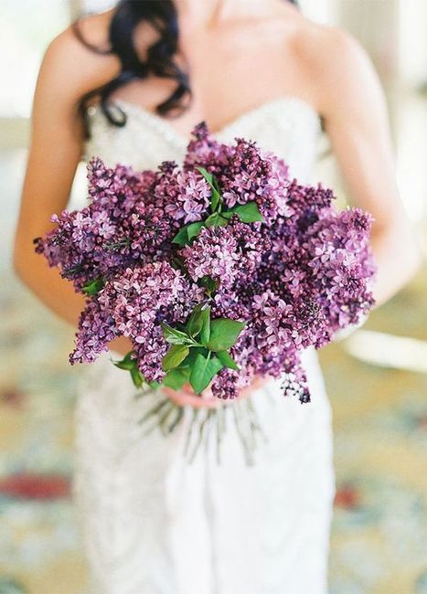 Un bouquet de saison 3