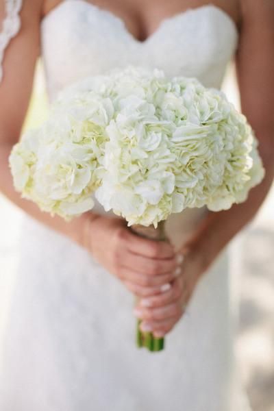 Un bouquet de saison 8
