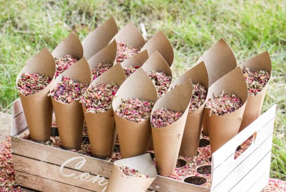 Confettis et presentation 6