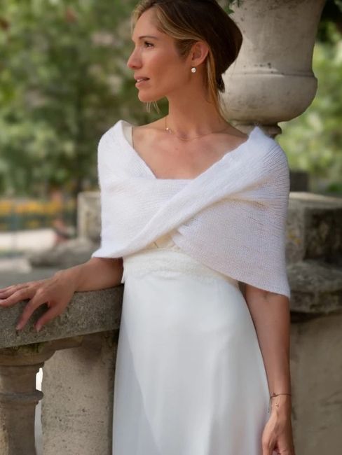 J-100 .... ça y est ! 3