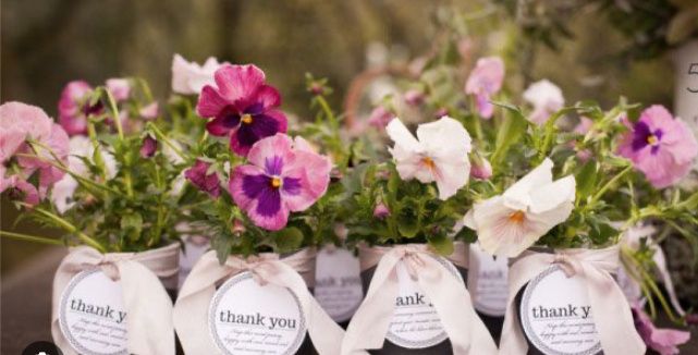 Des fleurs, des fleurs, des fleurs 🌹🌸🌺🌷🌻🌼 58