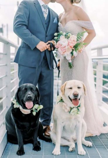 Des fleurs, des fleurs, des fleurs 🌹🌸🌺🌷🌻🌼 84