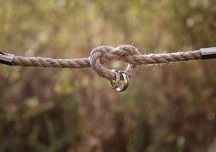 Photos des alliances - 19