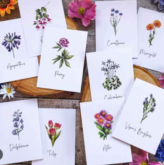 Des fleurs, des fleurs, des fleurs 🌹🌸🌺🌷🌻🌼 - 89