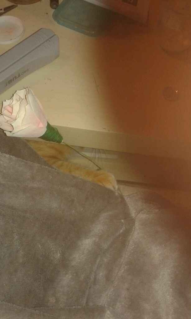 Une aide encombrante .. - 1