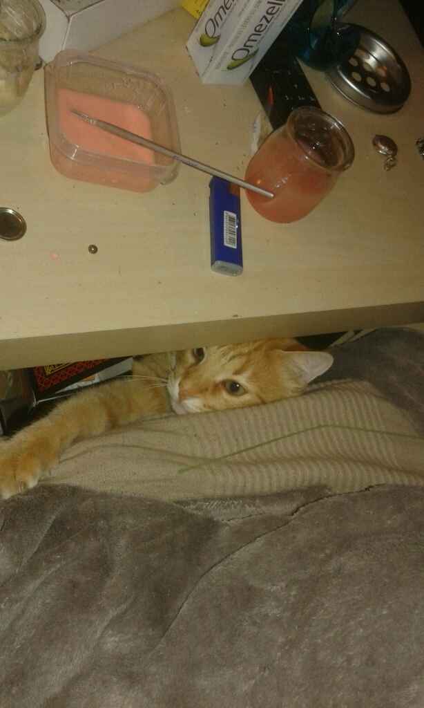 Une aide encombrante .. - 2