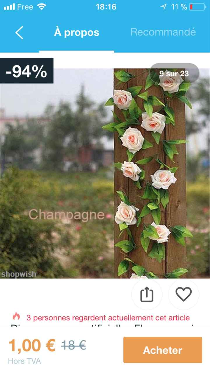 Arche - 1