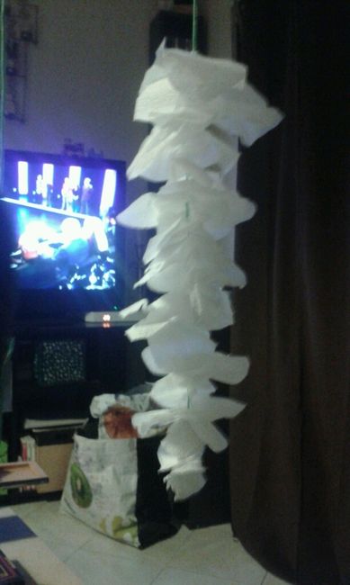 Diy...je crois que je suis folle... - 2