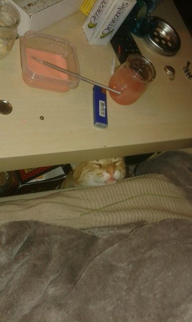 Une aide encombrante .. - 3