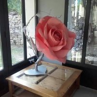 Ca y est je suis madame! - 1