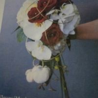 Essaie coiffure... - 1