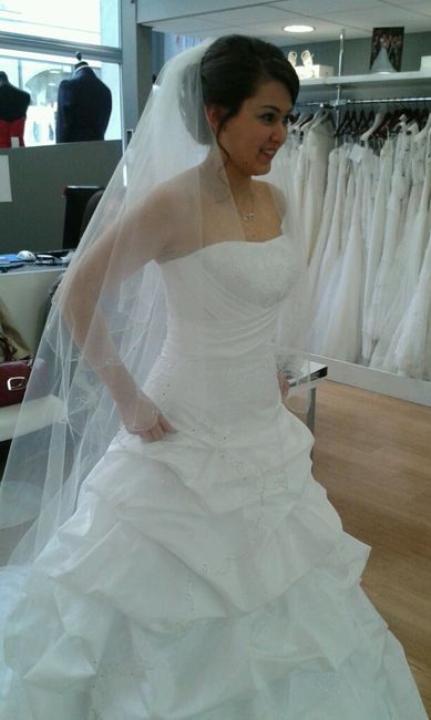 Doute sur la robe - 2