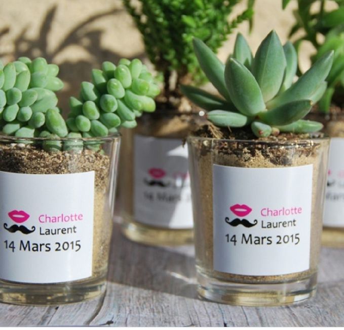 Cadeaux invités succulentes 3