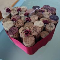 Porte alliance maison