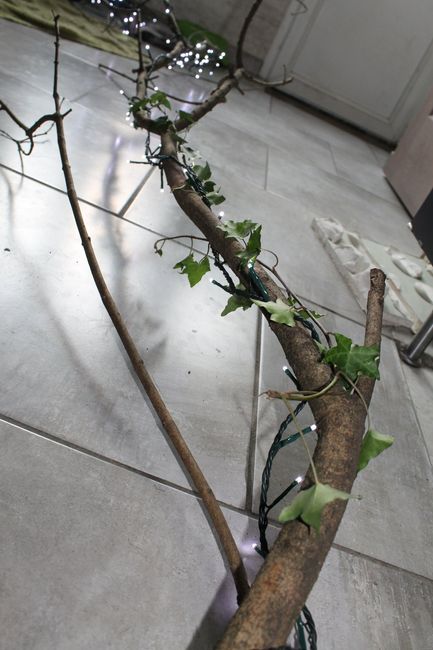 essai branche lierre lumiere