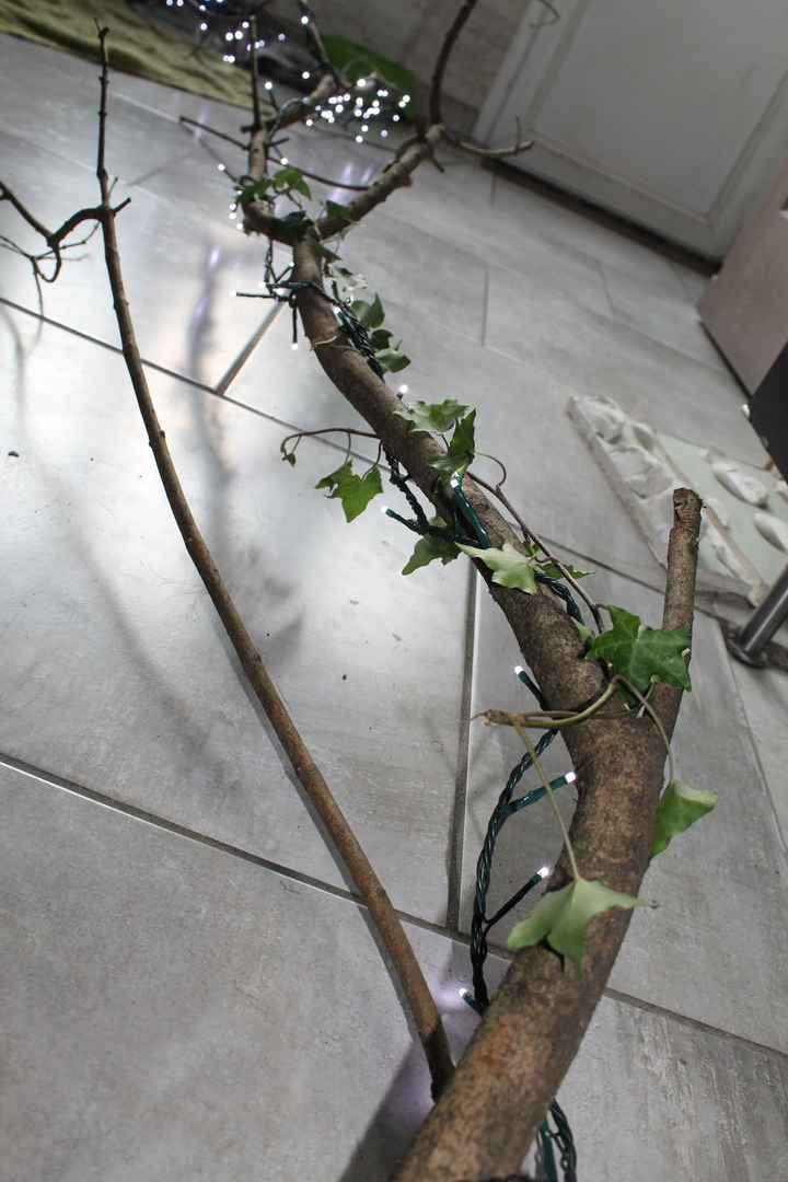 essai branche lierre lumiere
