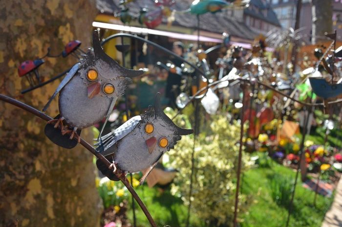 Chouette, le printemps !