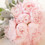 Bridetobe