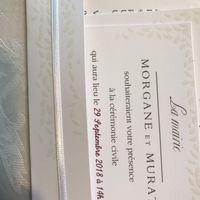 Cotton bird - déception ! - 3