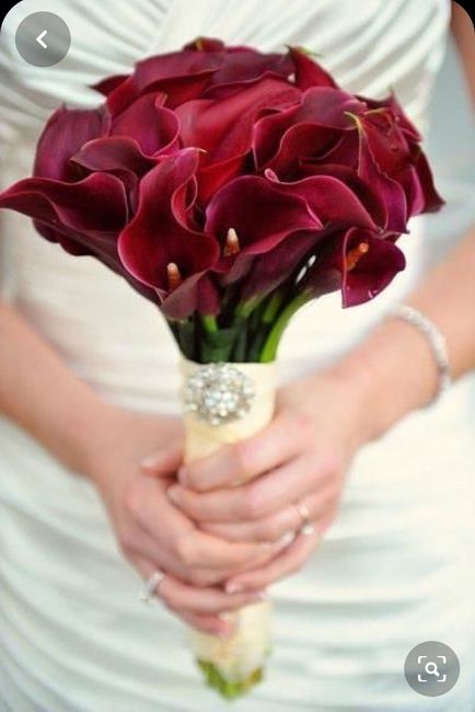 Quel bouquet avec ma robe ? - 1