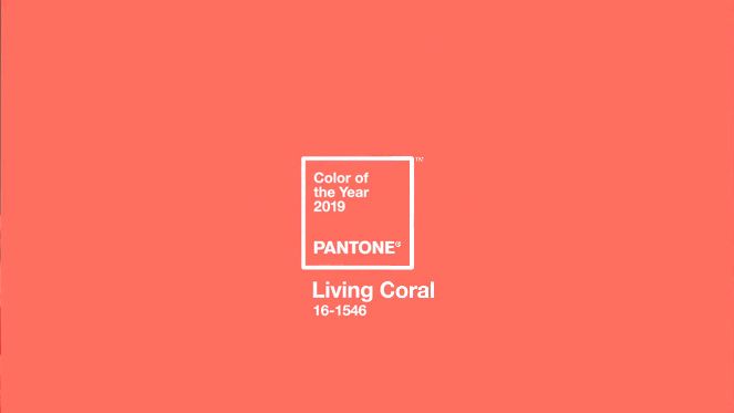 Couleur Corail - 2