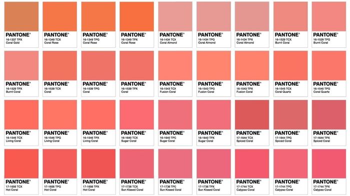 Couleur Corail - 1