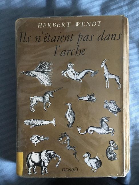 diy avec ce qu’on a sous la main... - 1