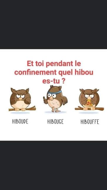 Et vous, vous faites du gras... ou vous faites du sport ? - 1