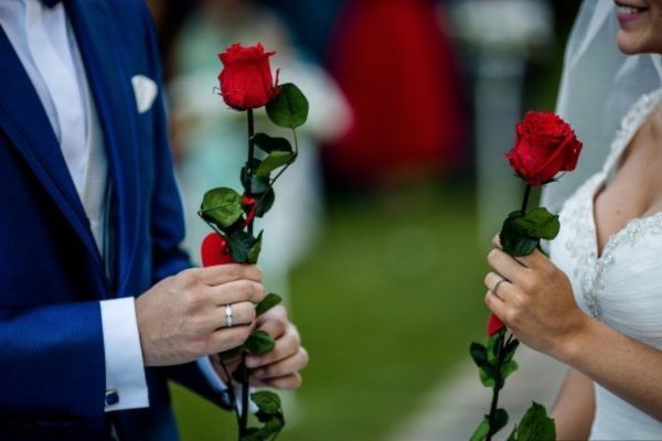 Mariage civil - alliances 3