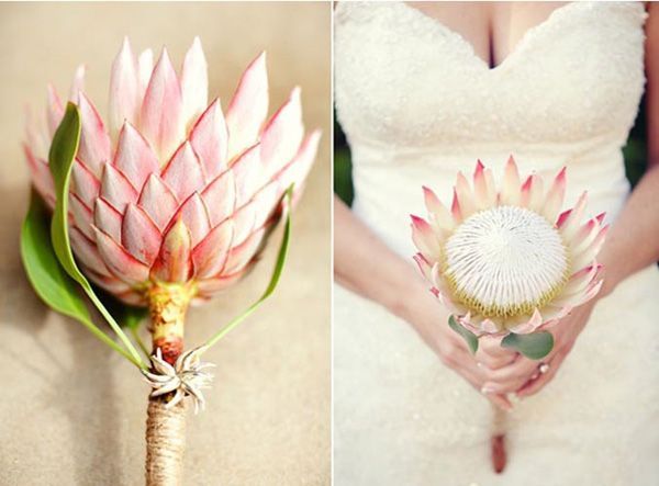 Couleurs bouquet robe Champagne dentelle ivoire - 3