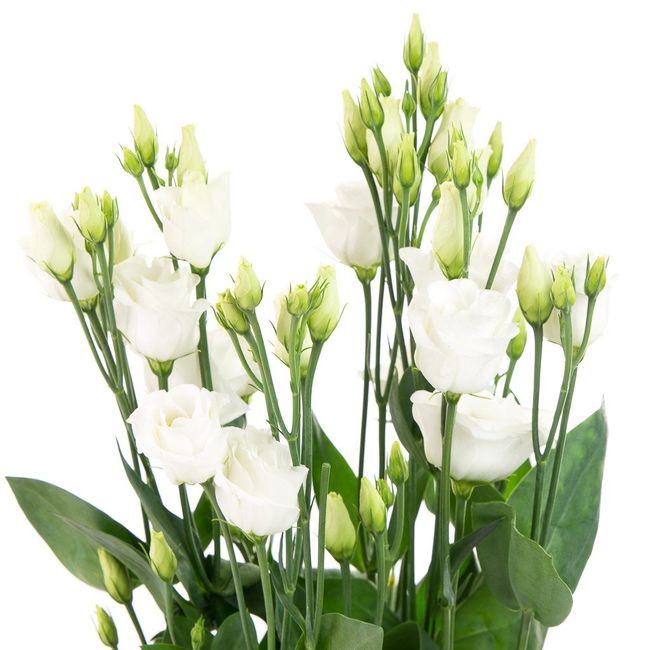 De quelles fleurs sera composé ton bouquet ? - 1