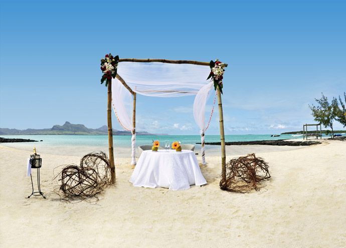 Mariage en comité restreint : toutes les folies sont possibles !! - 1