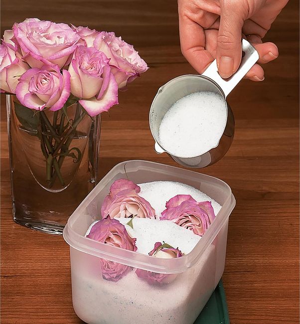 Fleurs séchées et écologie 💐 - 2