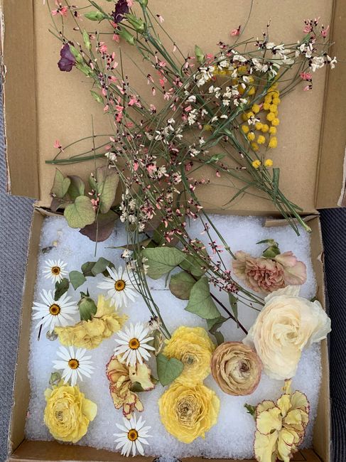 Fleurs séchées et écologie 💐 - 3