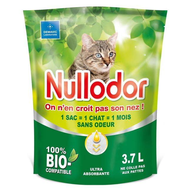 Fleurs séchées et écologie 💐 - 1