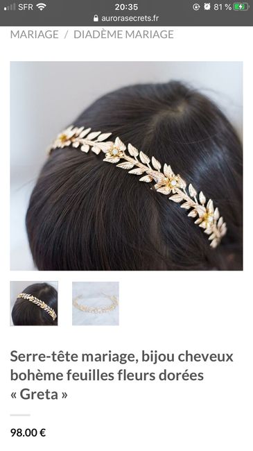 a la recherche du bijou de cheveux parfait - 2