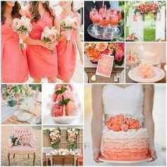 Couleur Corail 17