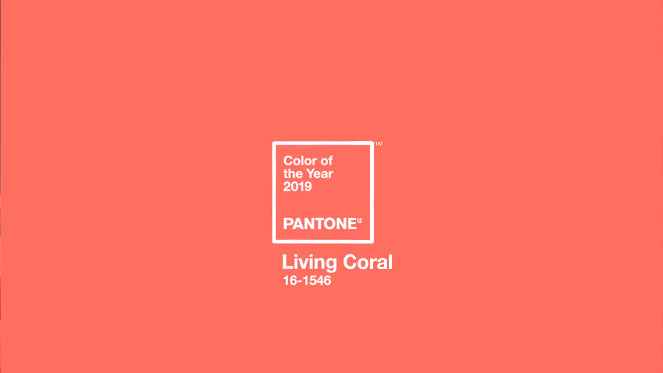 Couleur Corail 15