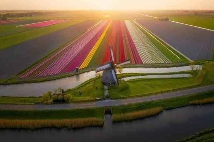 Destination les Pays-bas 🇳🇱 ? - 1