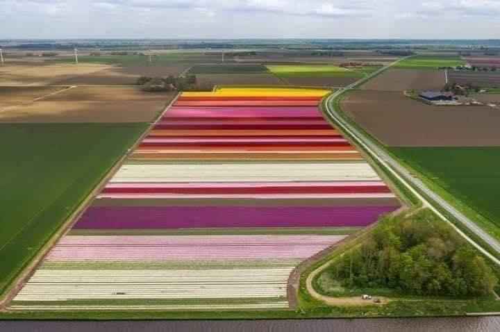 Destination les Pays-bas 🇳🇱 ? - 2