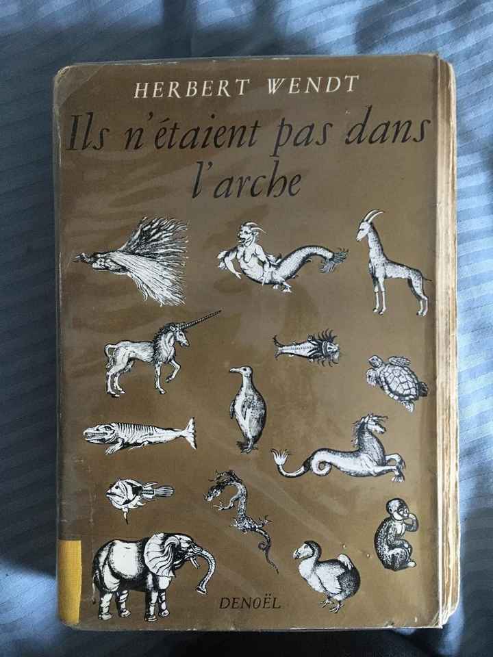 diy avec ce qu’on a sous la main... 6
